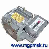Счетчик газа rvg